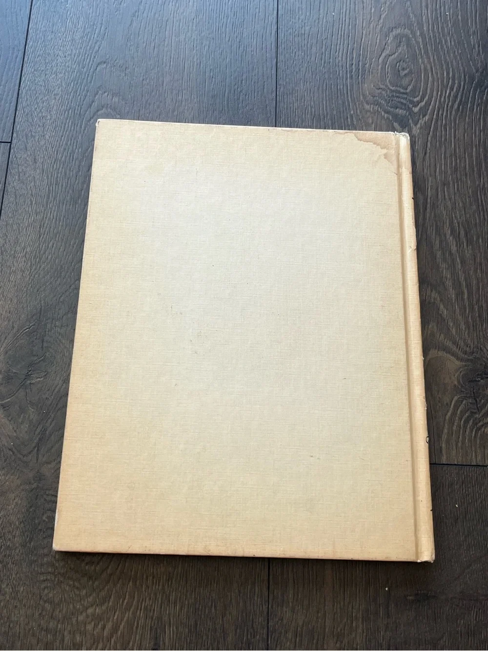 Disney gently used